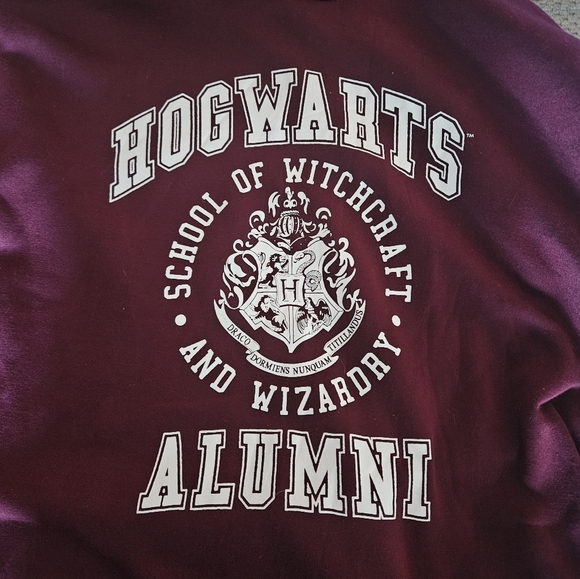 ๐3/$25๐ Burgundy/Harry Potter Graphic Hoodie - Picture 6 of 6